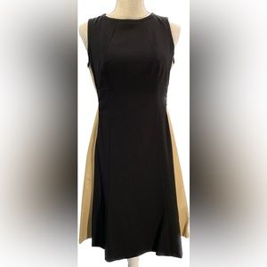 Lauren Ralph Lauren Sleeveless Size 6 Sheath Dress